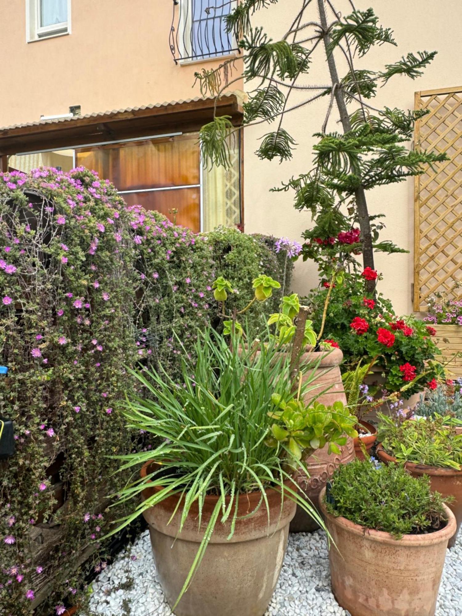 Villa Dei Fiori - Casa Vacanza 카포텔라 외부 사진